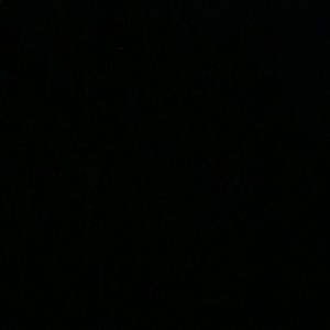 Meet your Posher, Dorothy